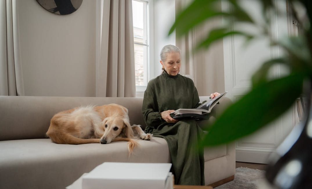 10 Things Senior Dogs Teach Us About Aging Gracefully