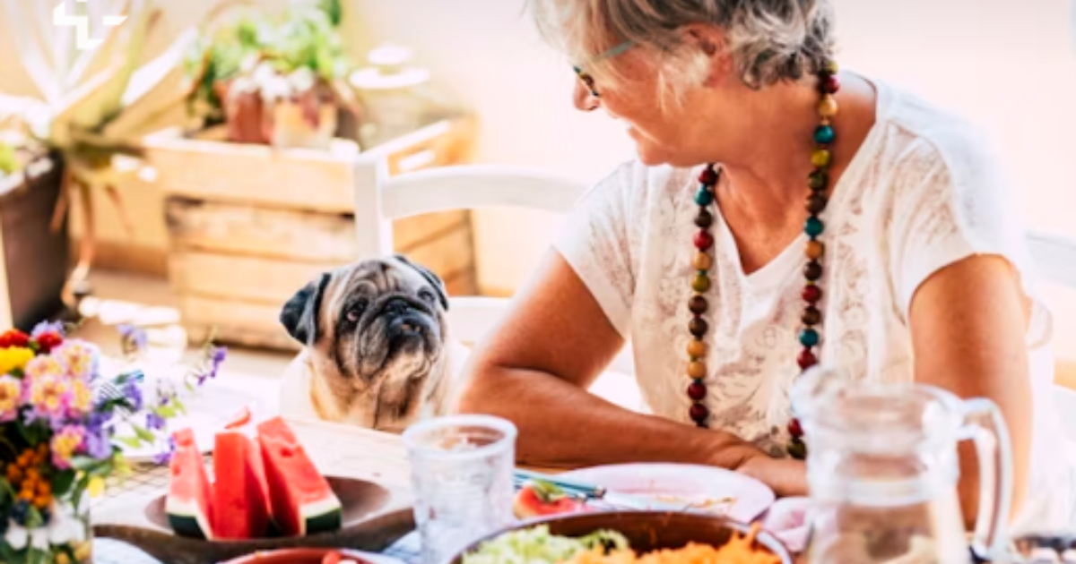 10 Beautiful Ways to Celebrate a Senior Dog’s Gotcha Day