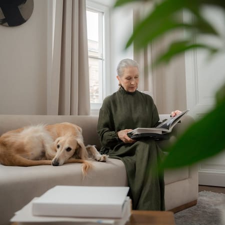 Image of: 10 Things Senior Dogs Teach Us About Aging Gracefully