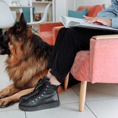 Image of: 10 Sweet Moments You’ll Only Share With a Senior Dog