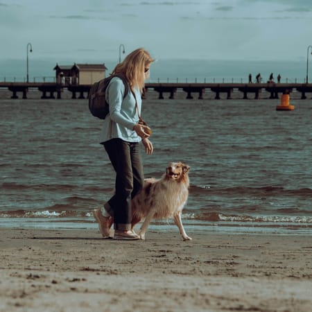 Image of: 12 Emotions Every Senior Dog Owner Feels (But Doesn’t Say)