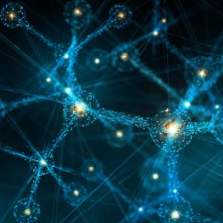 Image of: Reversing Dog Dementia: New Protocols Using Selegiline, MCTs, DHA, & Brain-Boosting Peptides