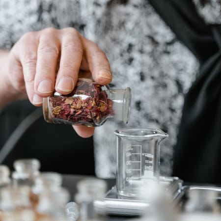 Image of: New Canine Cancer Defense Protocol: Mushrooms, Polyphenols & Metabolic Therapy