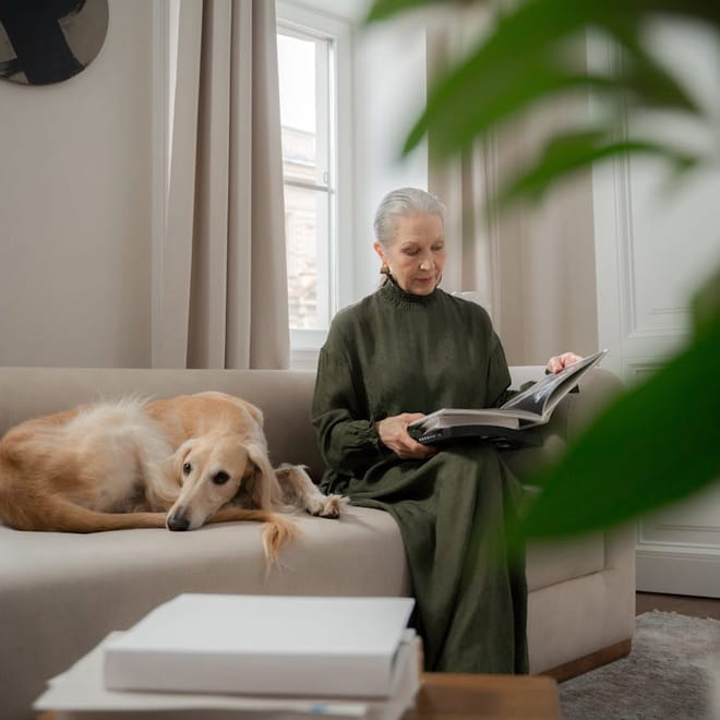 Image of: 10 Things Senior Dogs Teach Us About Aging Gracefully