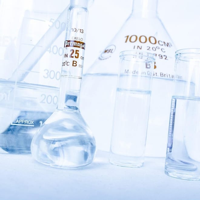 Image of: The Longevity Liver Protocol: TUDCA, NAC & Novel Protectants for Aging Dogs